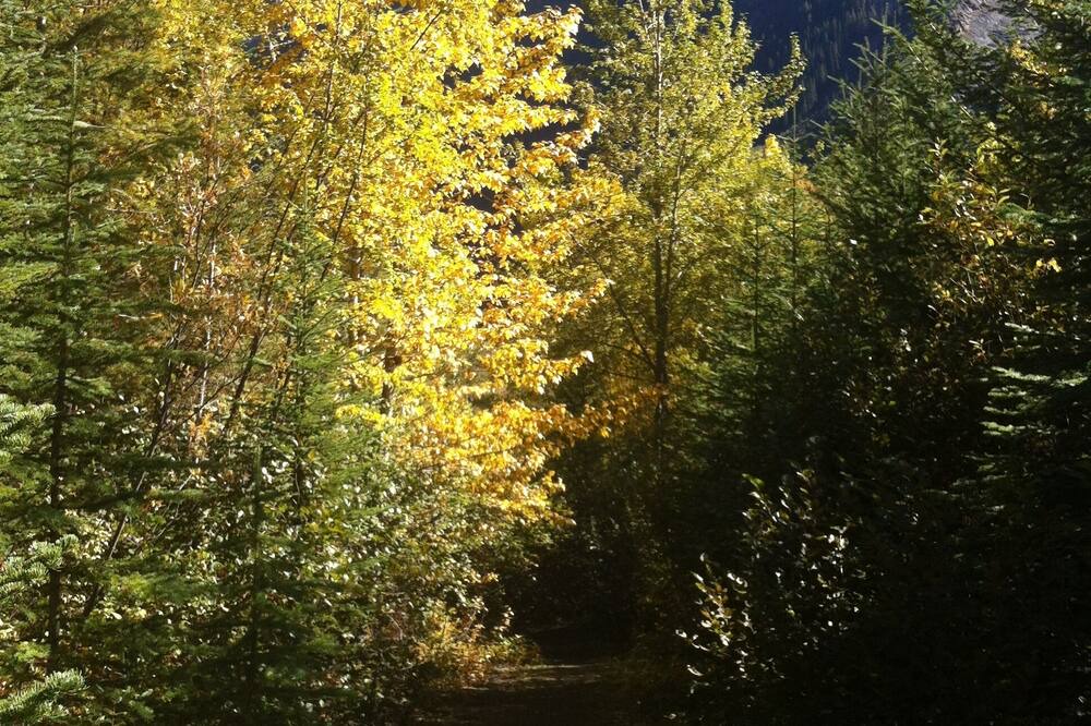 Photo of Outdoor in Panorama