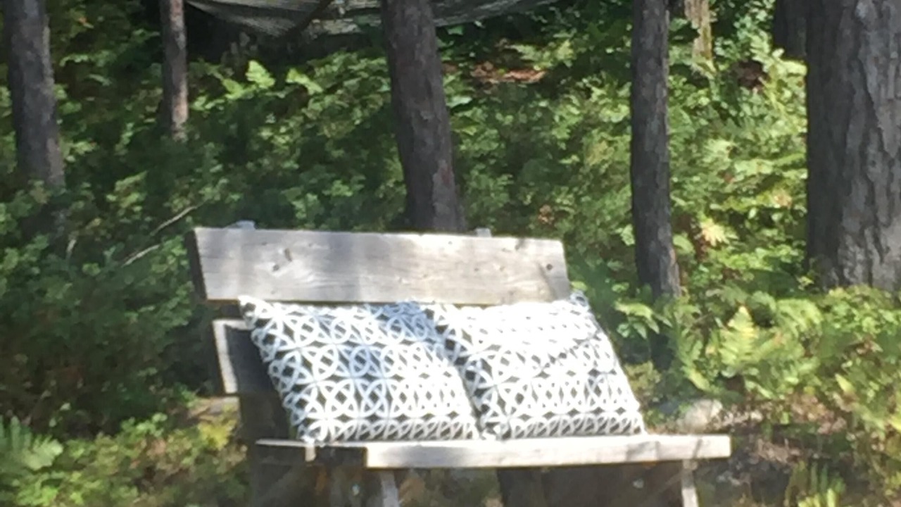 Photo of Outdoor in Bracebridge