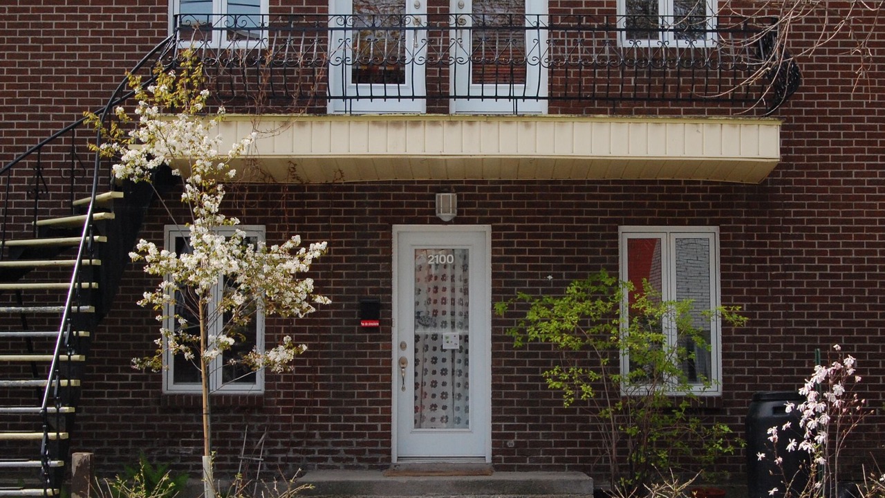 Photo of Outdoor in Hochelaga-Maisonneuve
