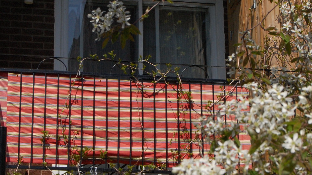 Photo of Outdoor in Hochelaga-Maisonneuve