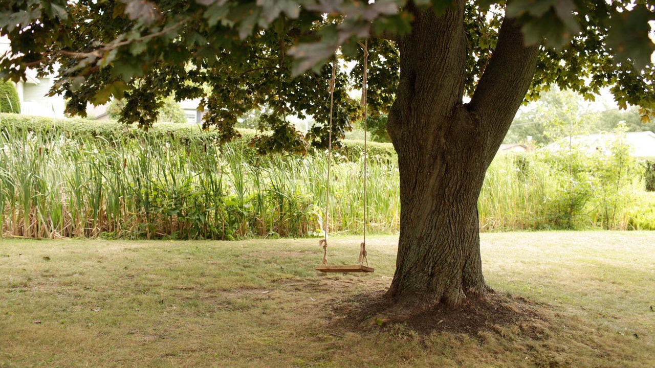 Photo of Outdoor in Erie