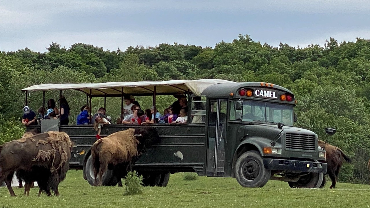 Photo of Others in Dale