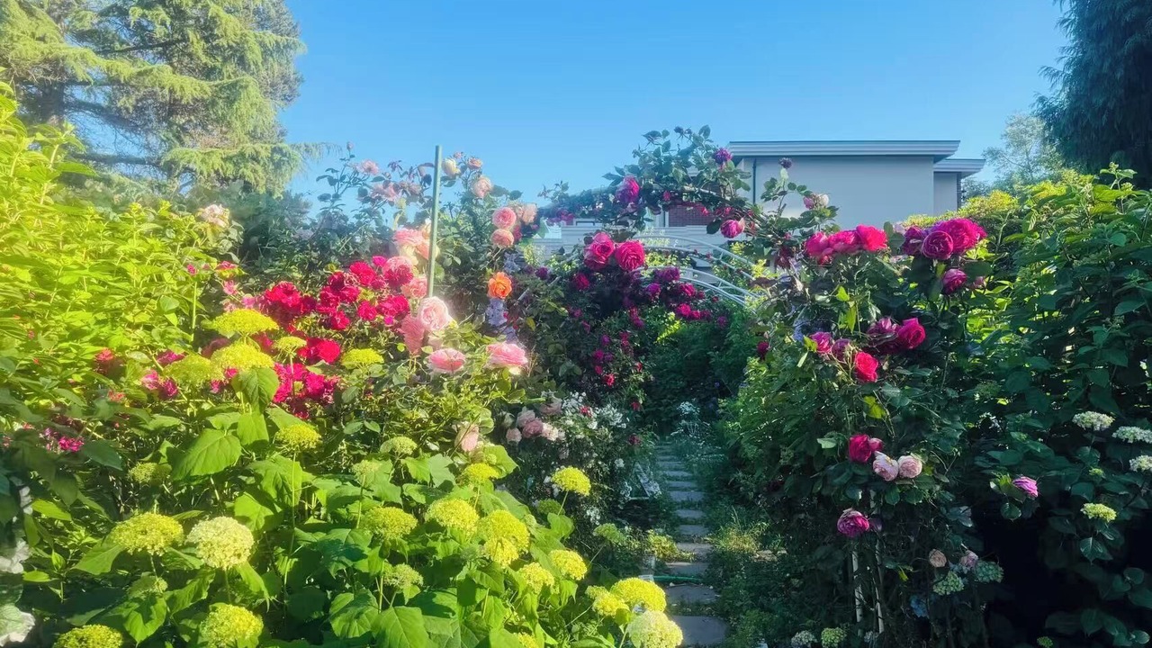 Photo of Outdoor in Surrey