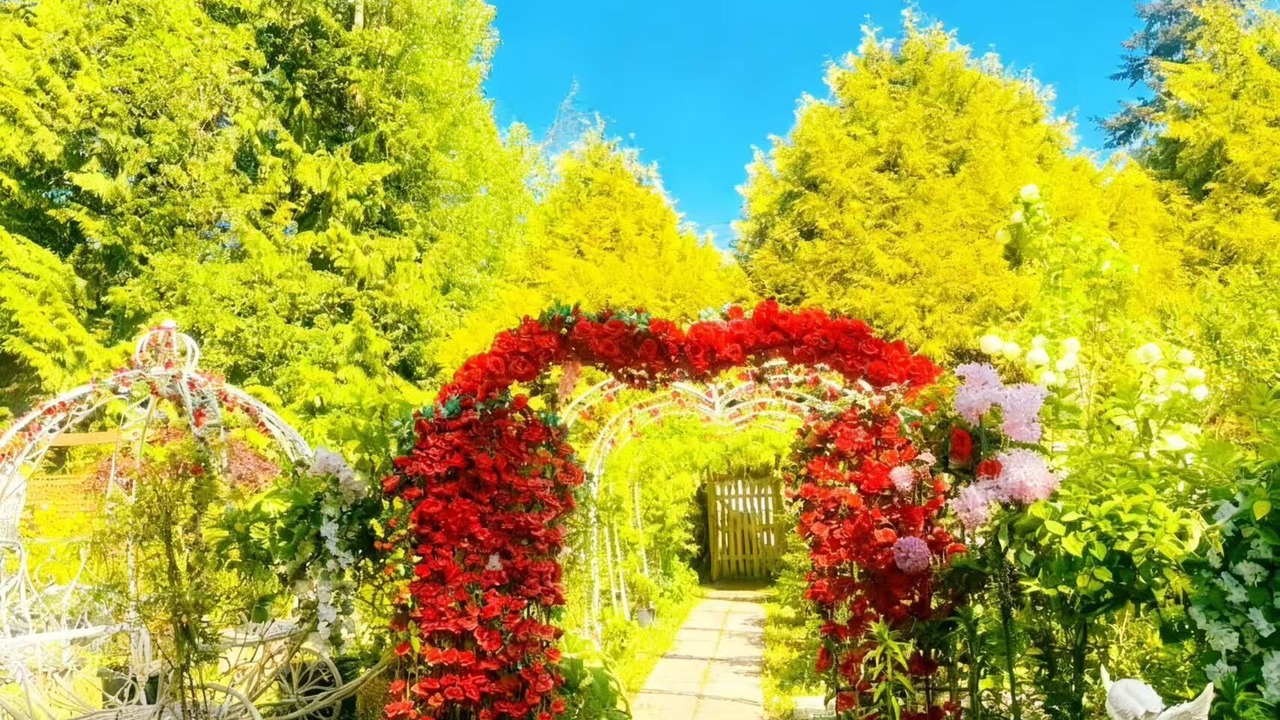 Photo of Outdoor in Surrey