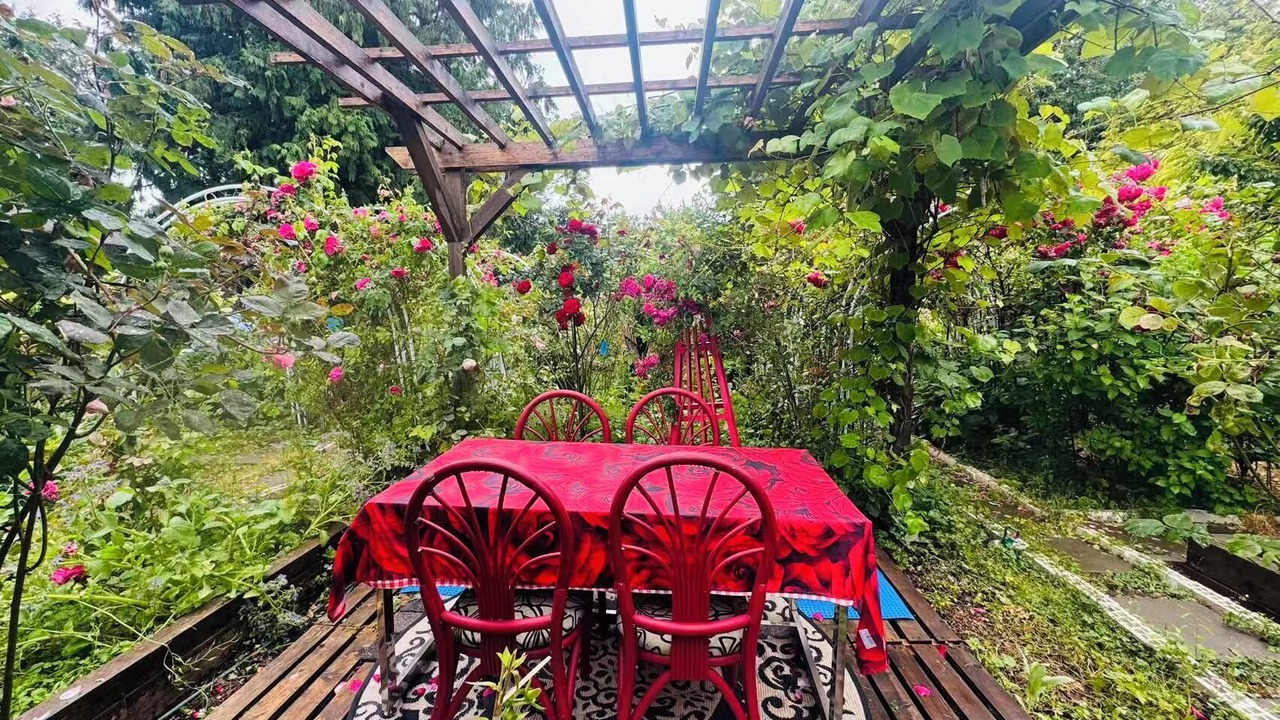 Photo of Patio Balcony in Surrey