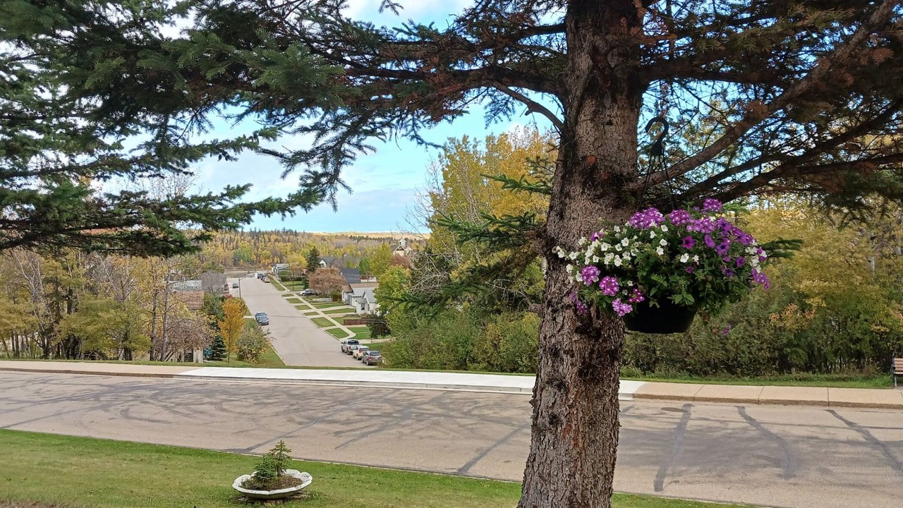 Photo of Outdoor in Athabasca