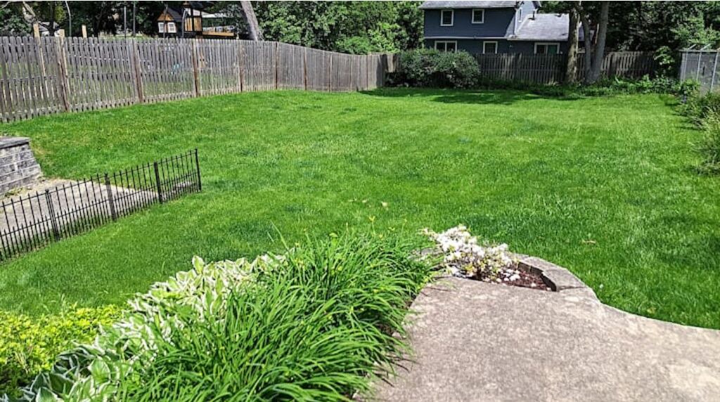 Photo of Outdoor in Northwest Akron