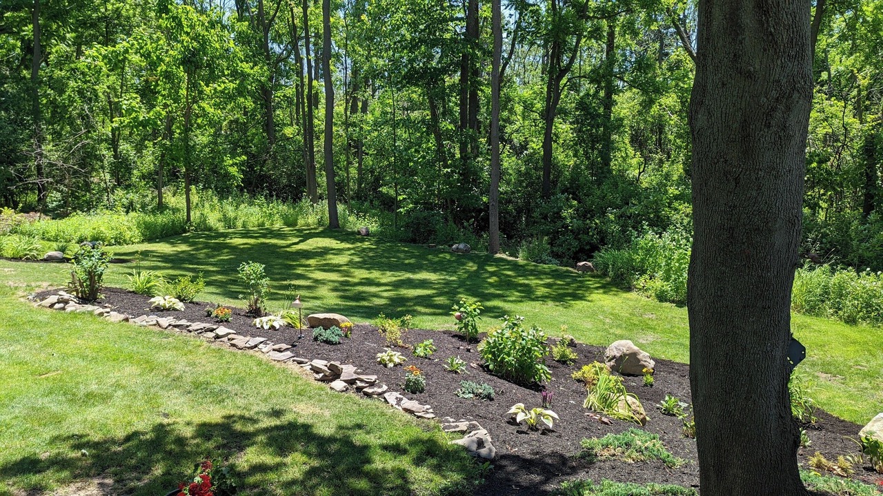 Photo of Outdoor in Holcomb