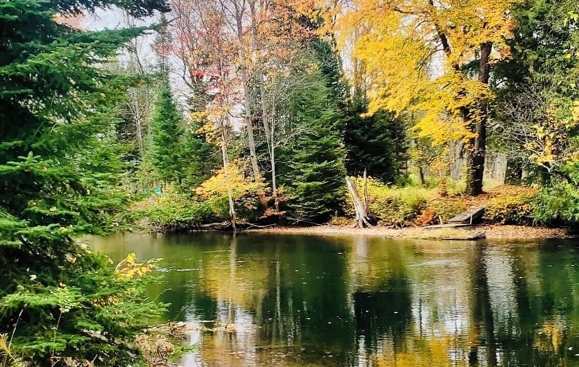 Photo of Outdoor in Minden