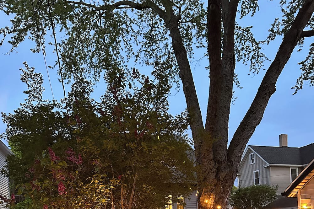 Photo of Outdoor in East Rochester
