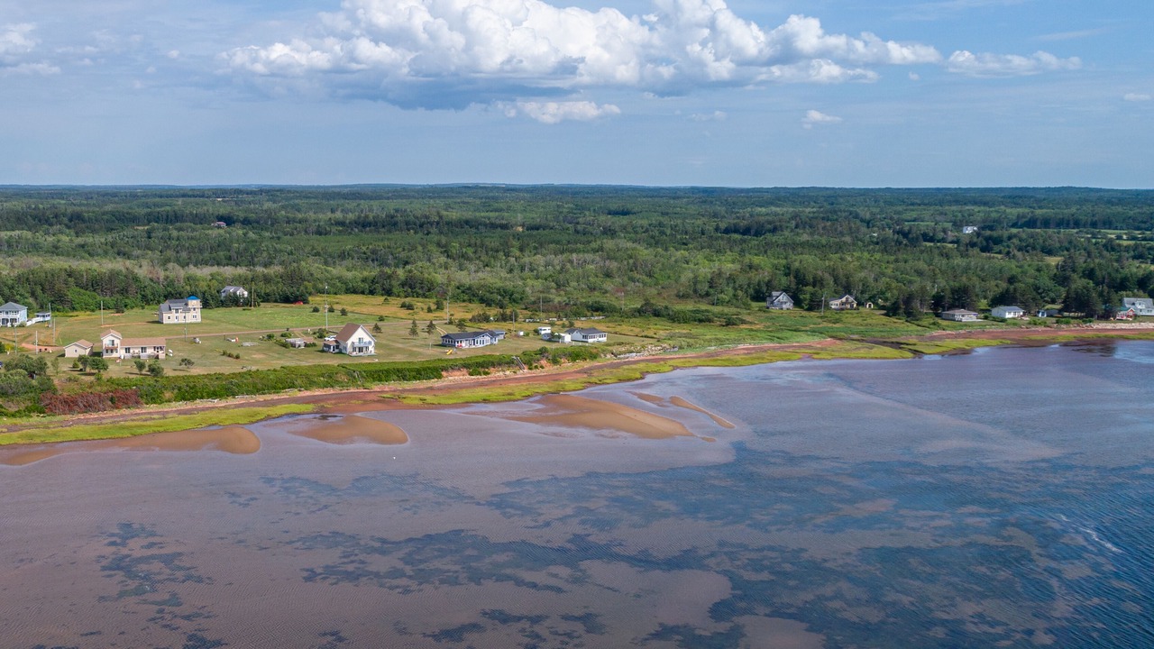 Photo of Outdoor in Blooming Point