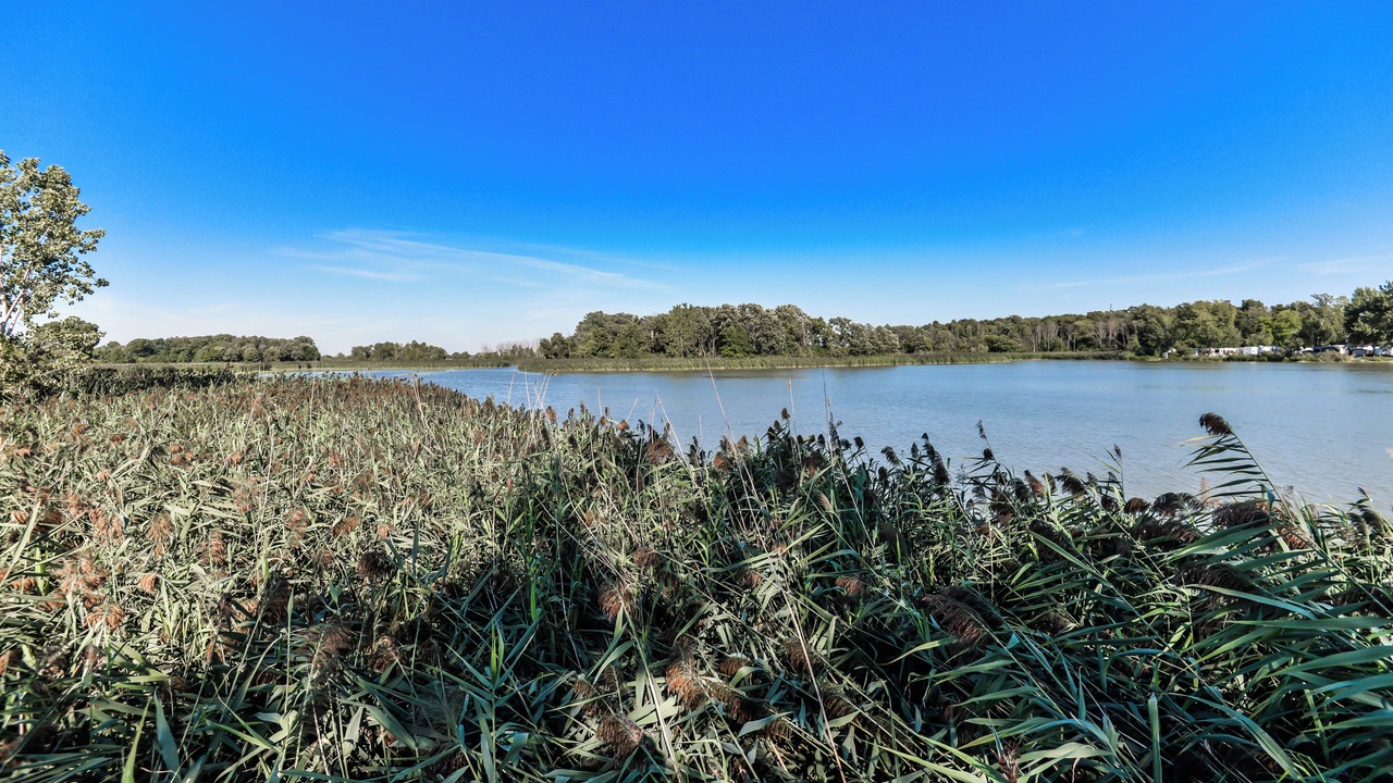 Photo of Outdoor in Leamington
