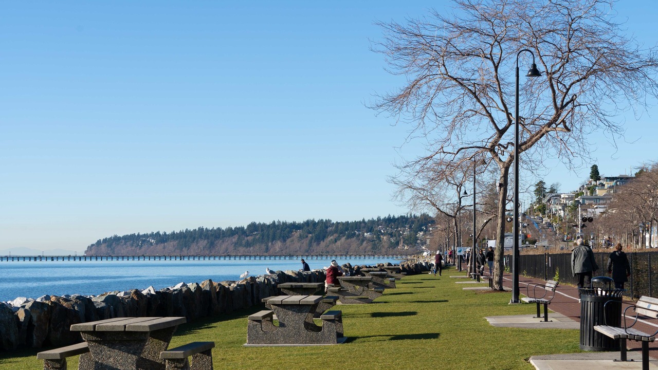 Photo of Others in White Rock