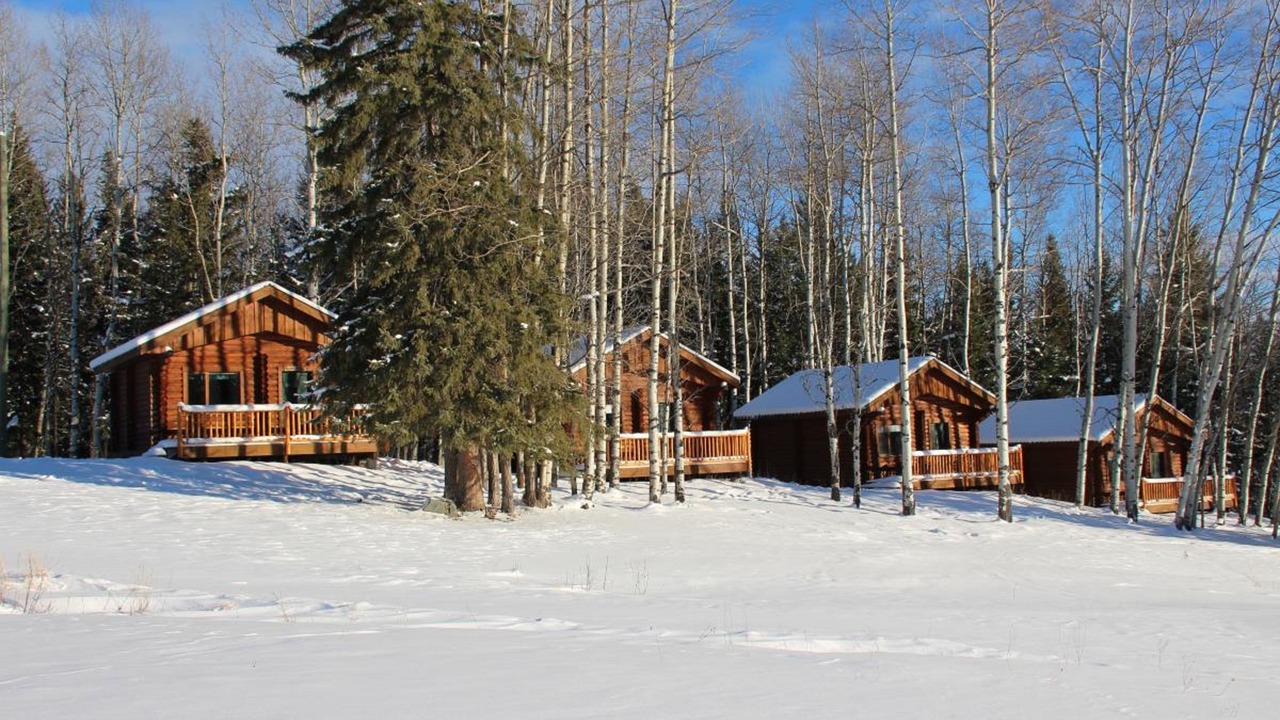 Photo of Outdoor in Bridge Lake