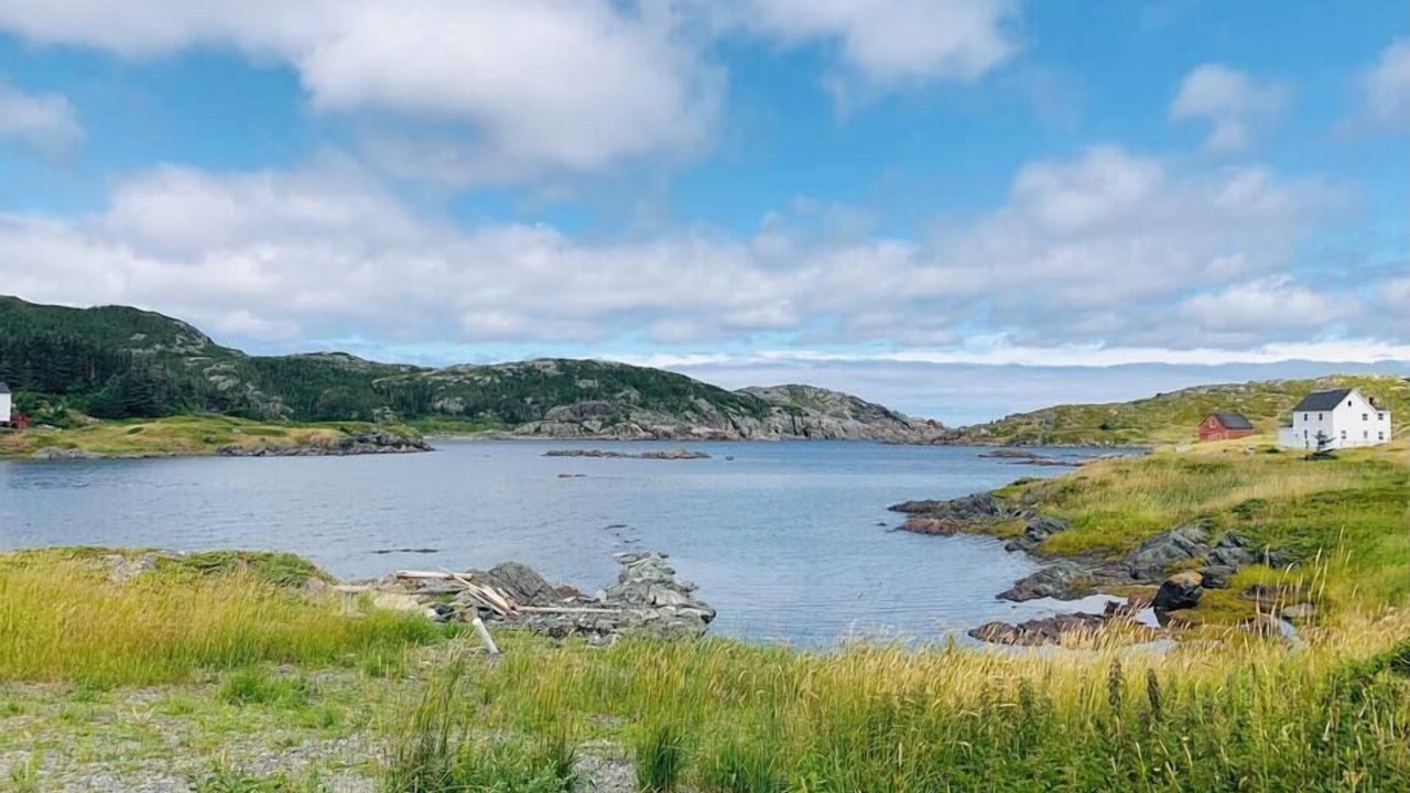 Photo of Others in Newfoundland