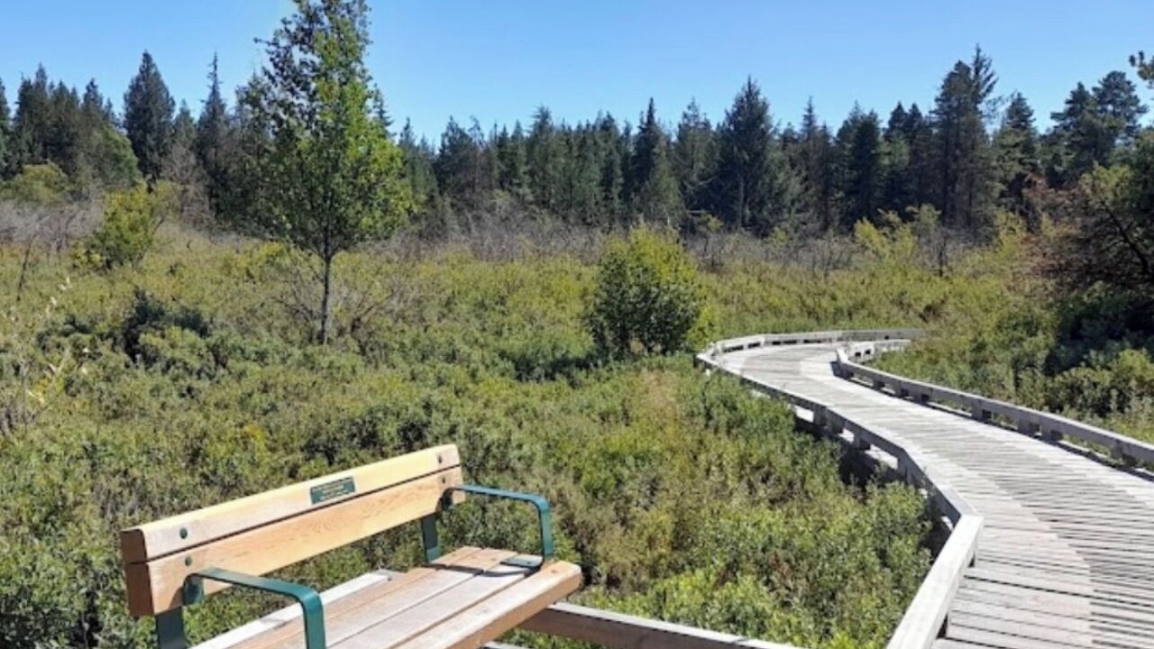 Photo of Outdoor in Delta
