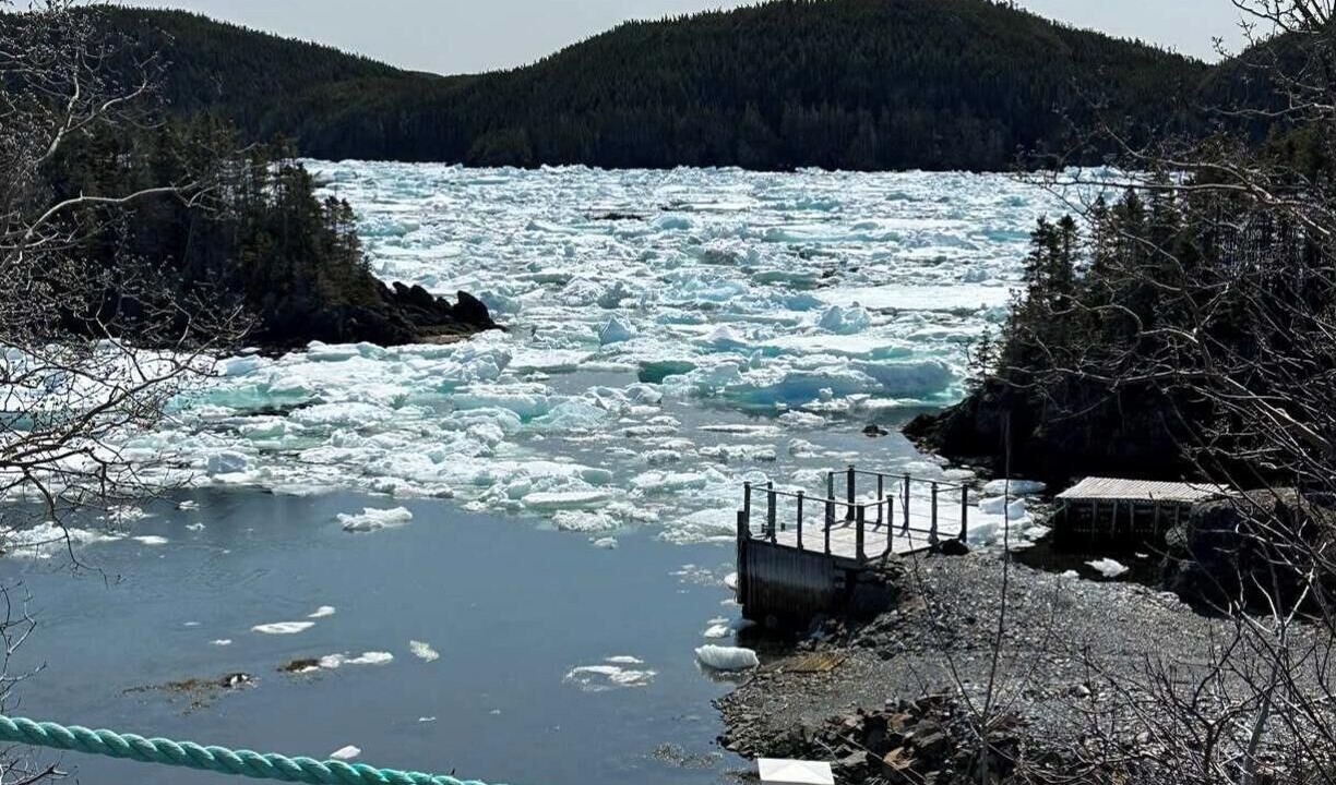 Photo of Others in Newfoundland