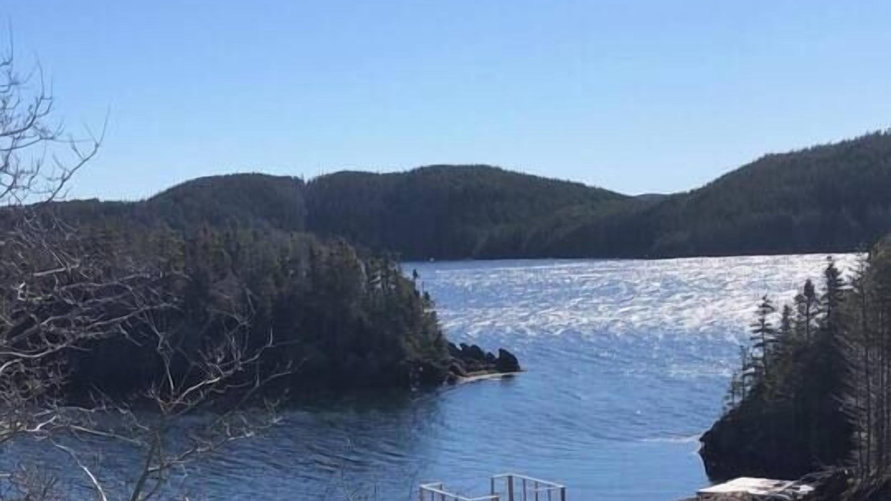 Photo of Others in Newfoundland
