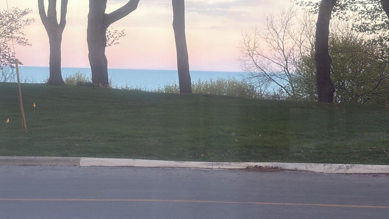 Photo of Others in Port Stanley