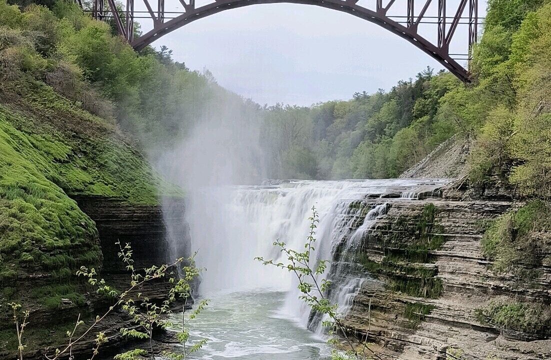 Photo of Outdoor in Hunt