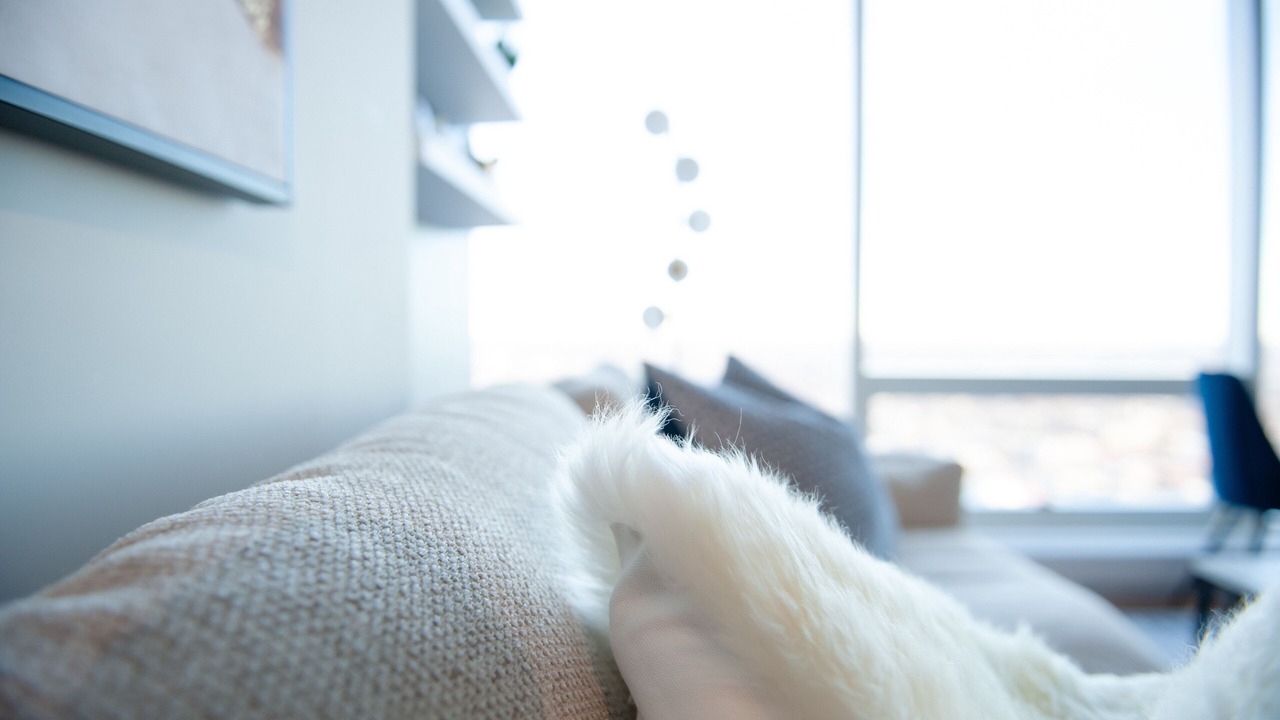 Photo of Livingroom in Downtown Edmonton