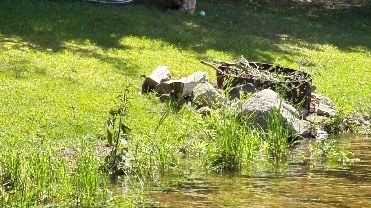 Photo of Others in Rosseau