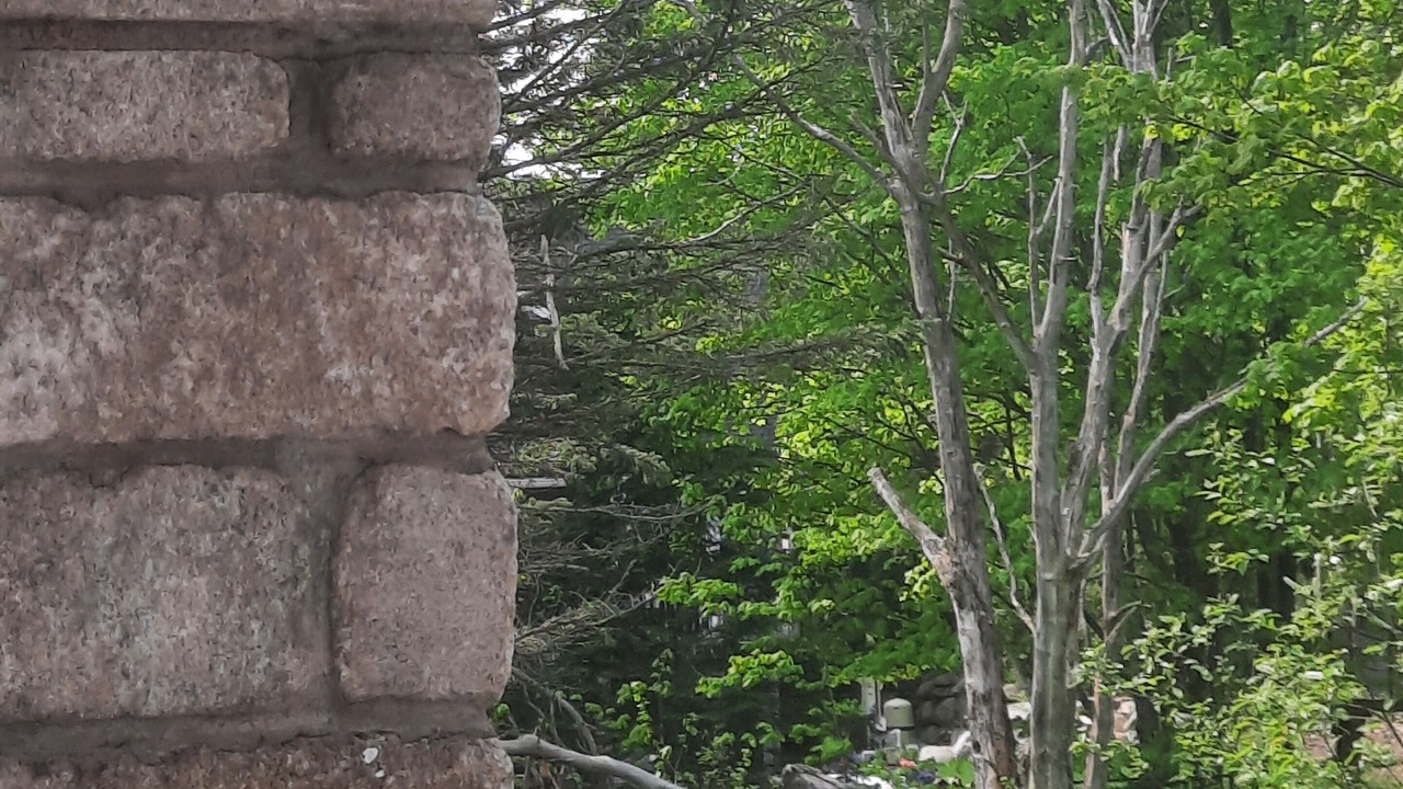 Photo of Patio Balcony in Oro-Medonte