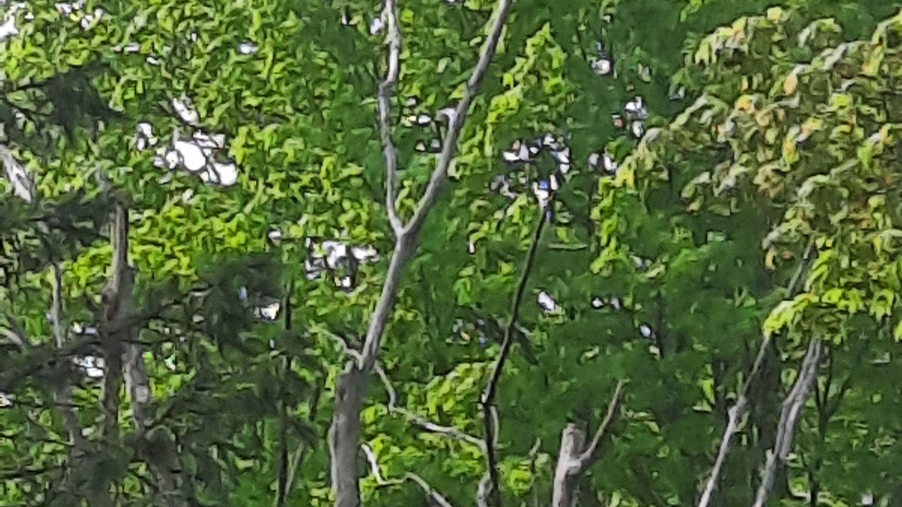 Photo of Patio Balcony in Oro-Medonte