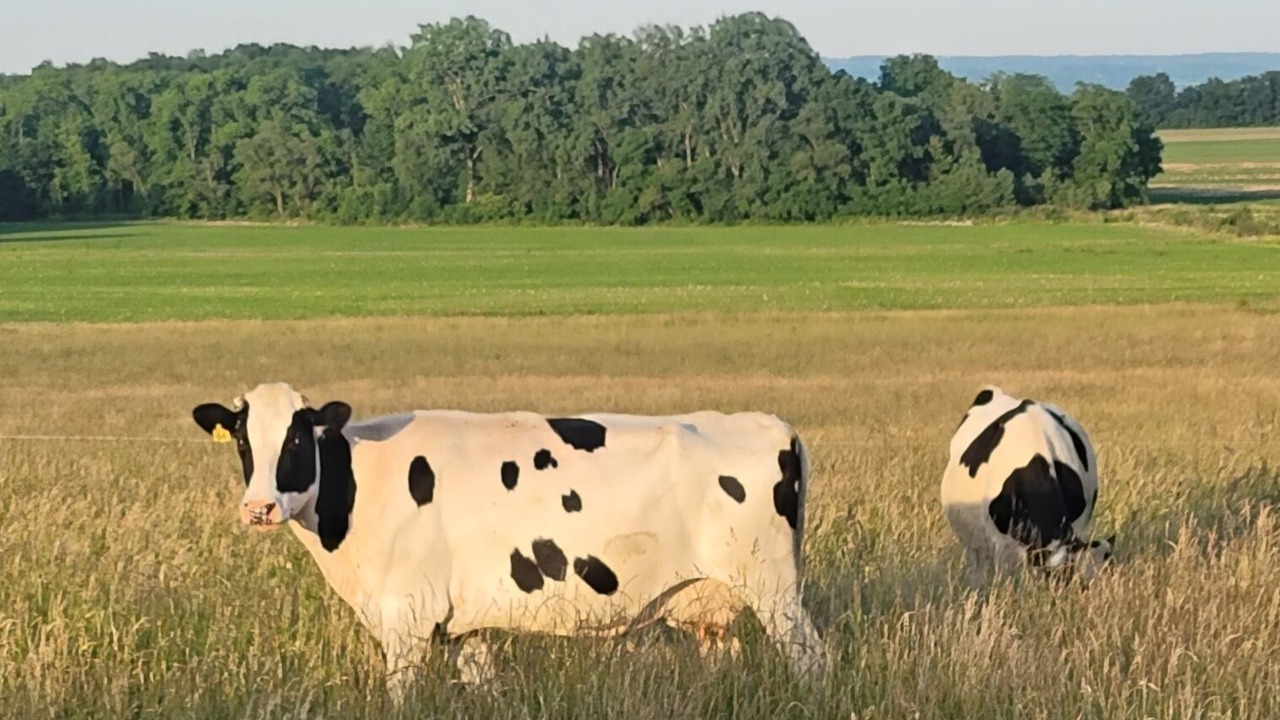 Photo of Others in Waterloo