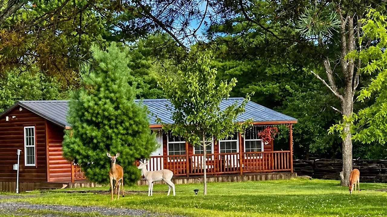 Photo of Outdoor in Marienville