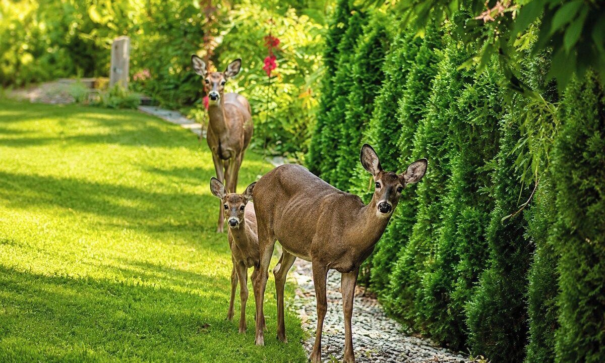 Photo of Others in Westside