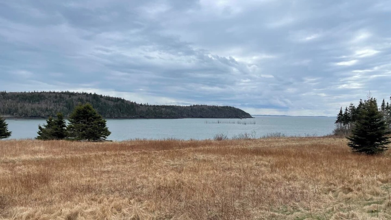 Photo of Others in Blacks Harbour