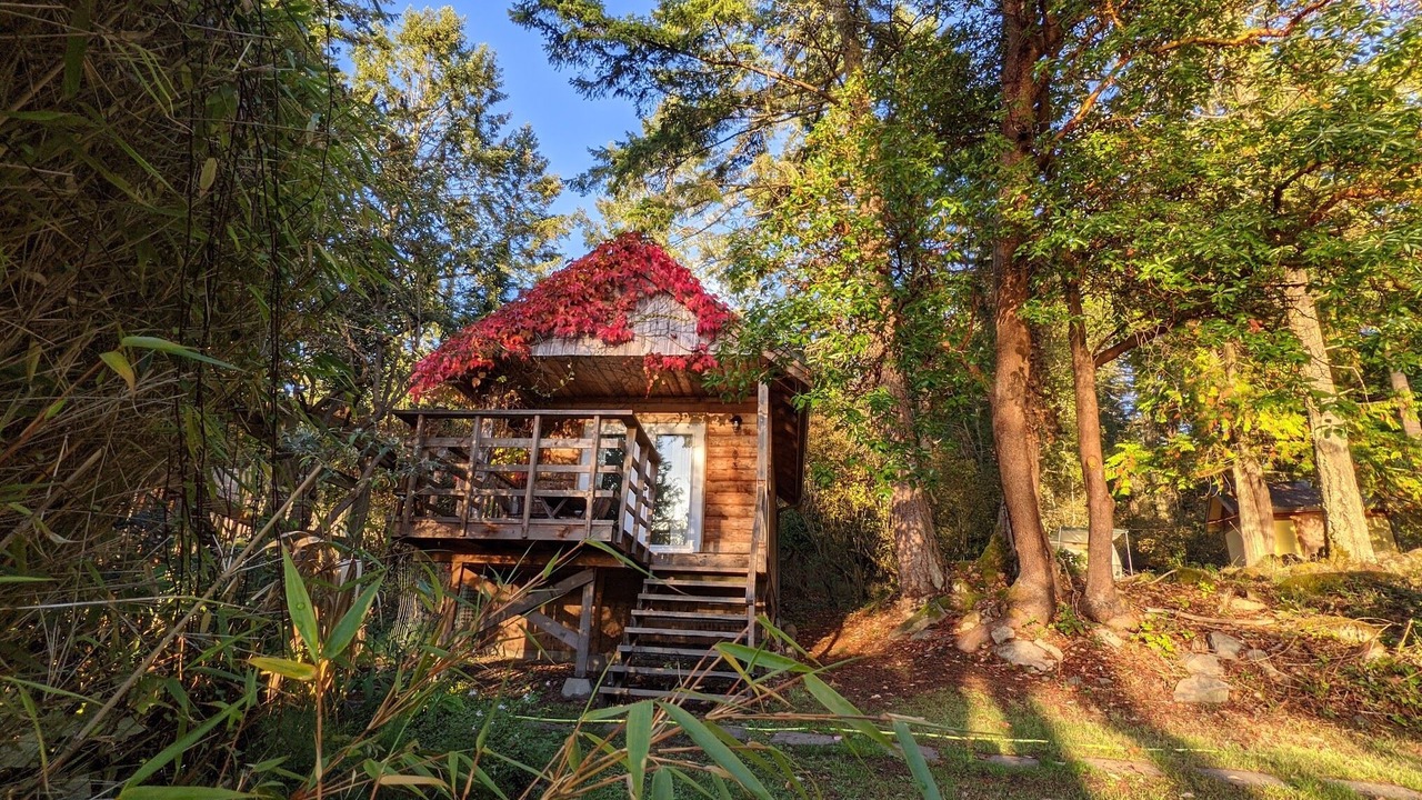 Photo of Outdoor in Pender Island