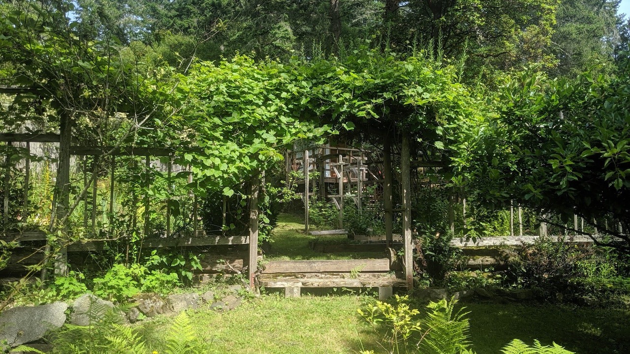 Photo of Outdoor in Pender Island