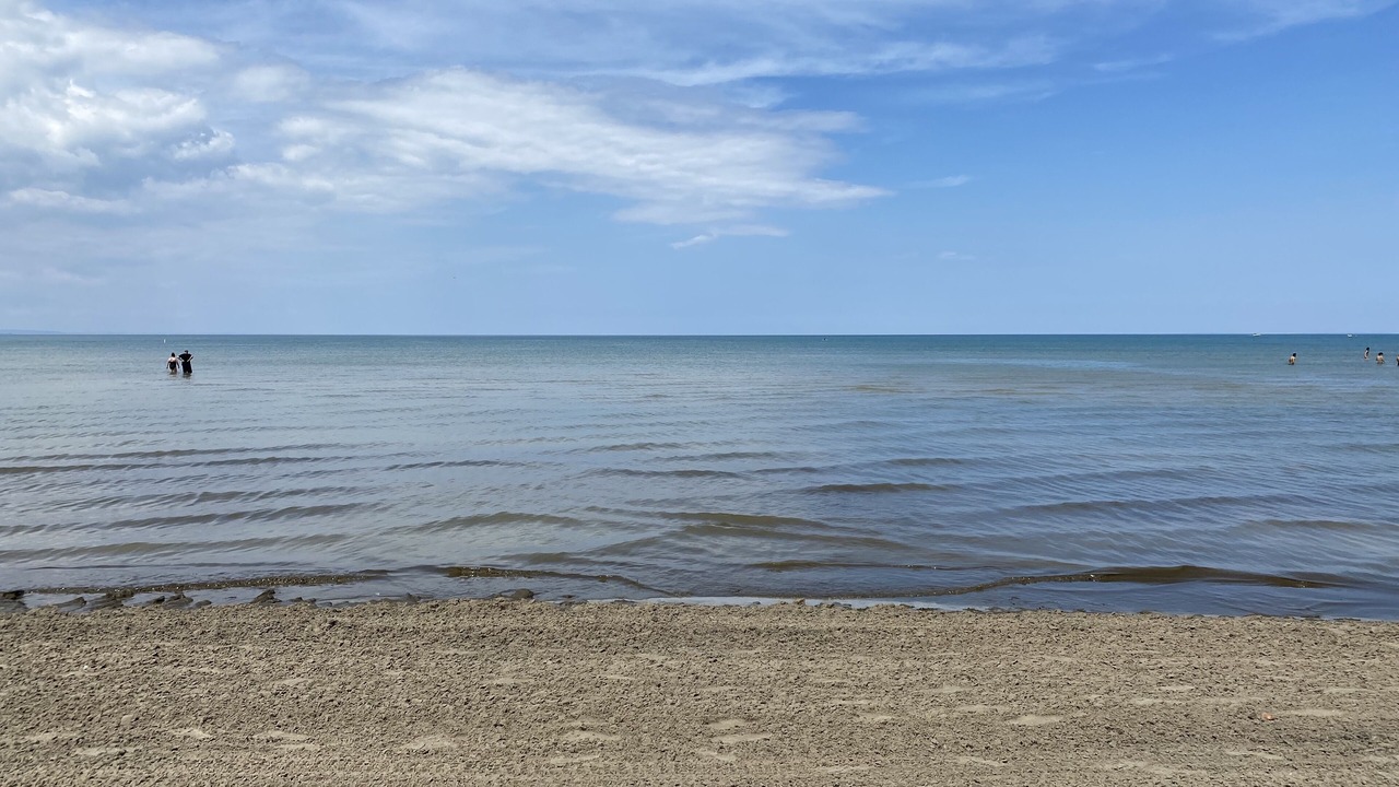 Photo of Others in Wasaga Beach
