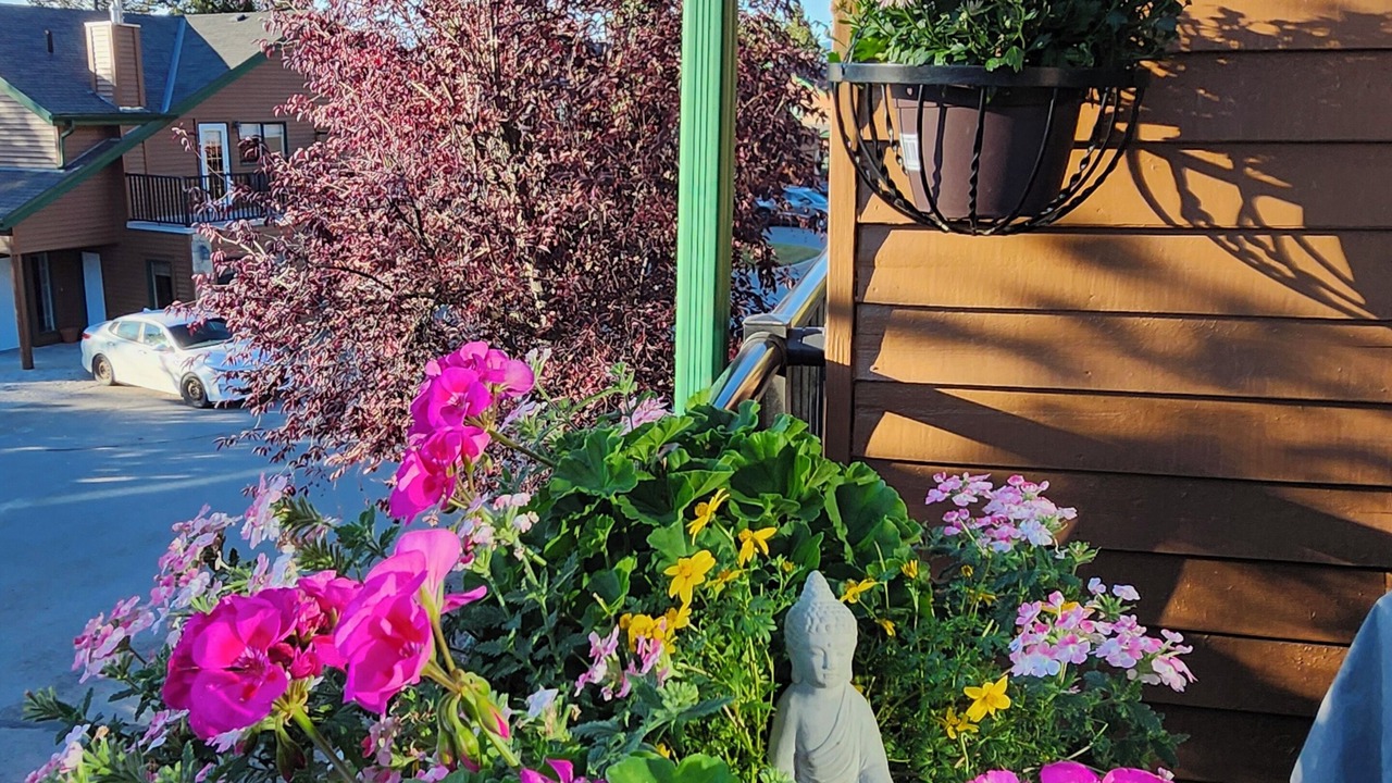 Photo of Patio Balcony in East Kootenay
