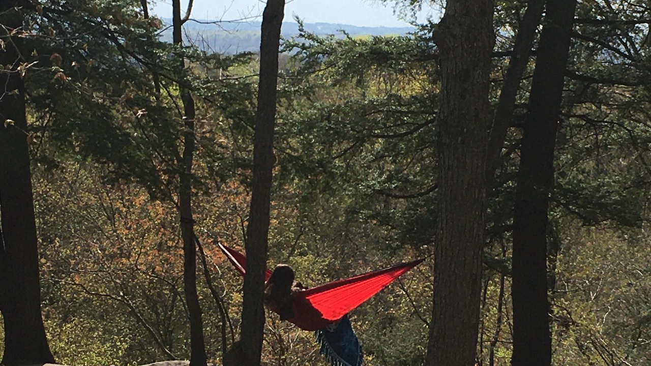 Photo of Others in Hudson