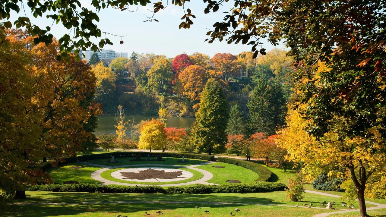 Photo of Outdoor in Bickford Park