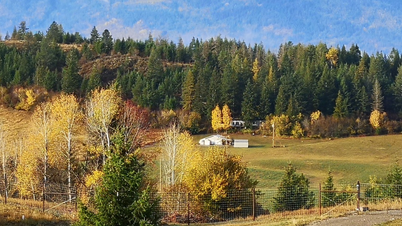Photo of Others in Creston