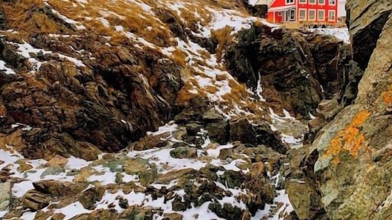 Photo of Others in Twillingate