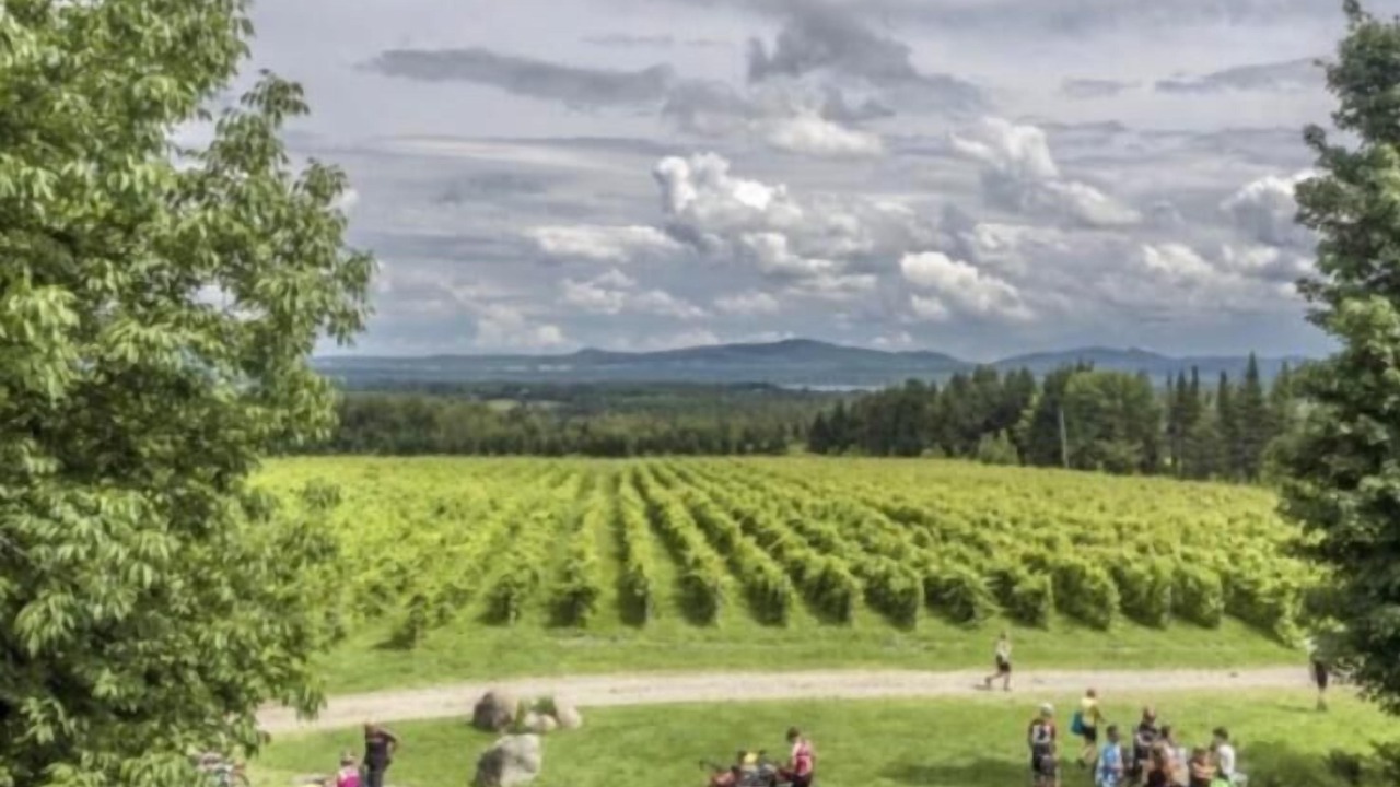 Photo of Others in Lac-Brome