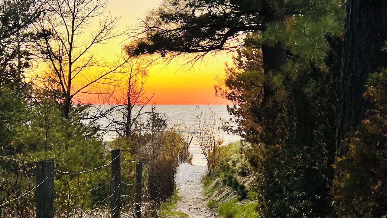 Photo of Others in Grand Bend