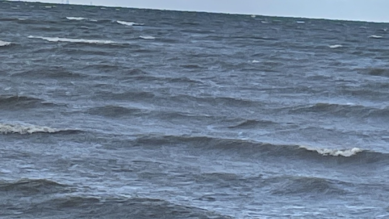 Photo of Others in Wilson