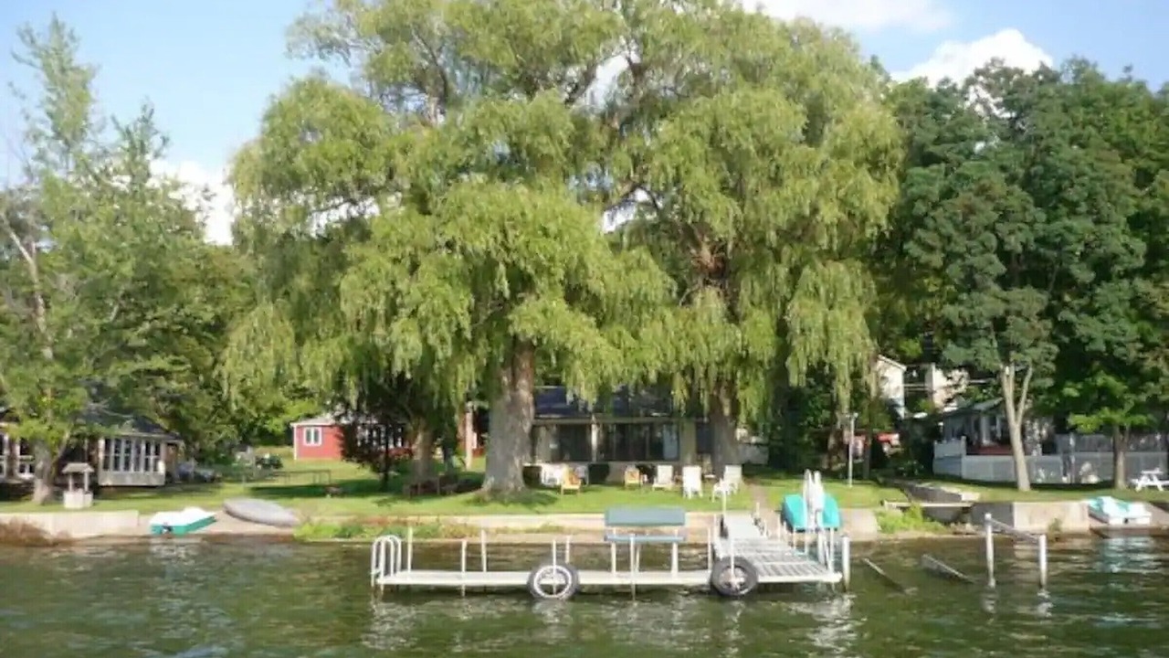 Photo of Others in Honeoye