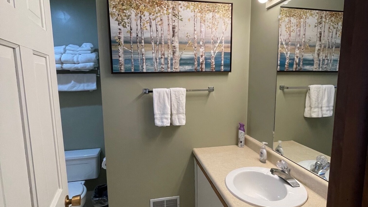 Photo of Bathroom in Boyne Falls