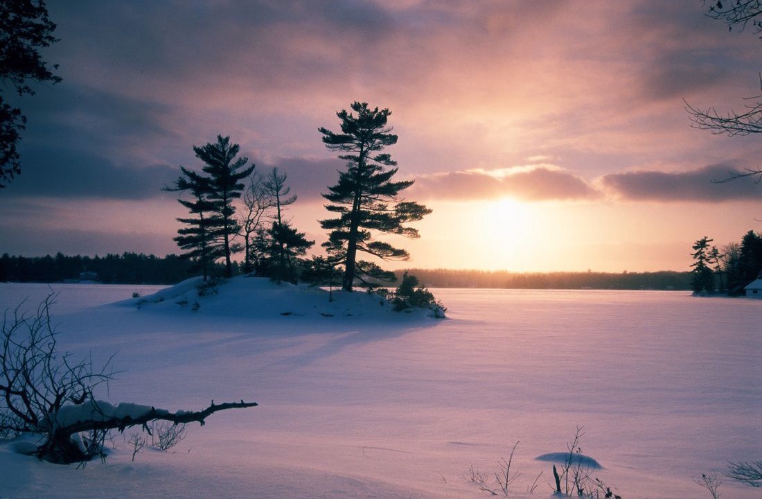 Photo of Others in Innisfil
