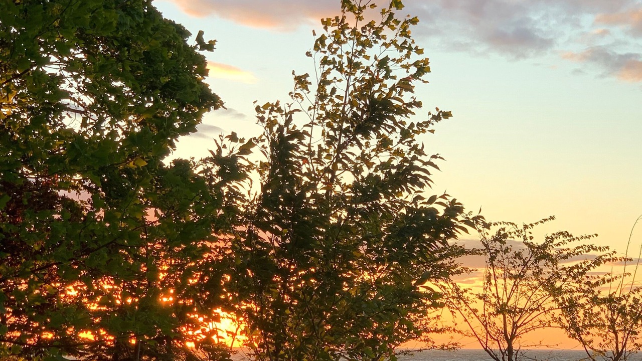 Photo of Outdoor in Sodus Point