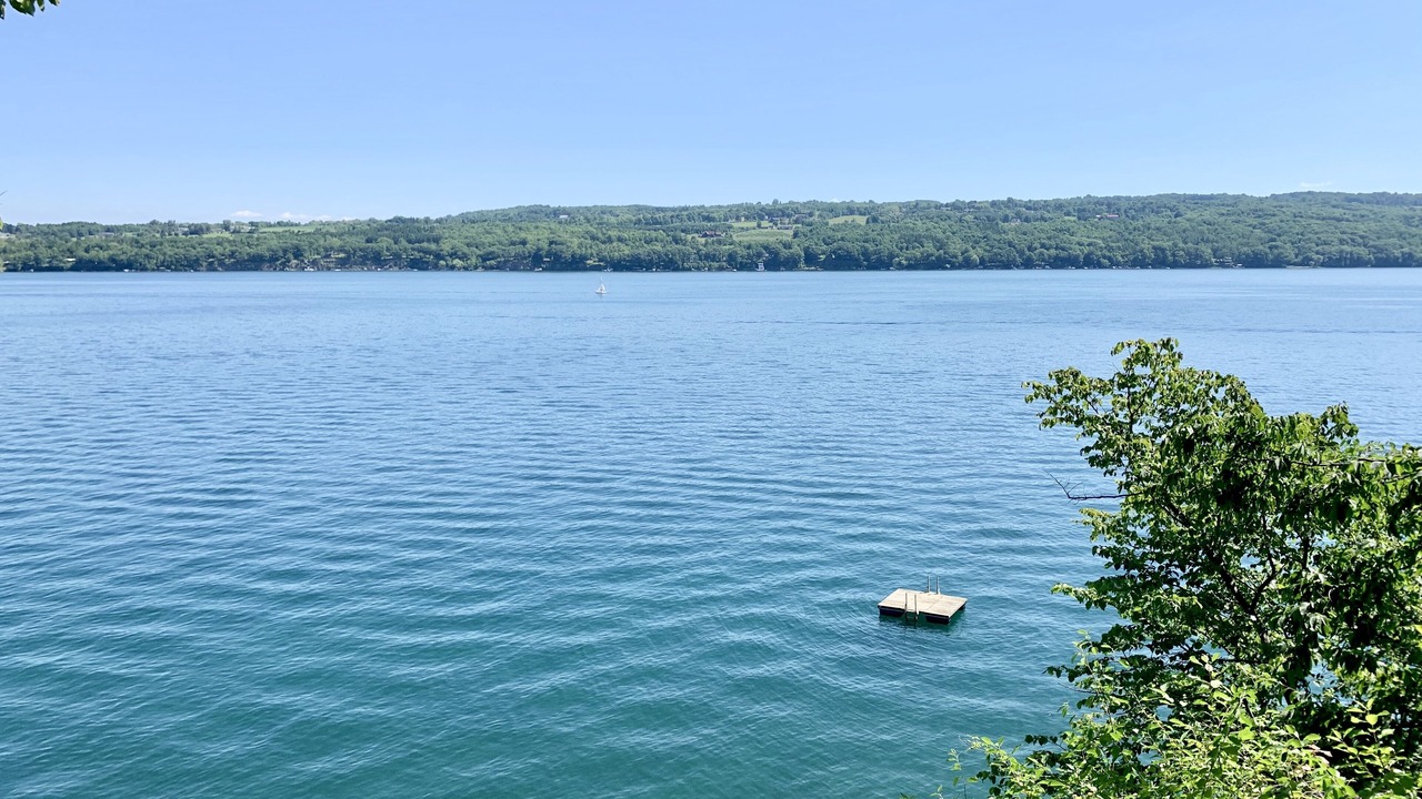 Photo of Others in Skaneateles