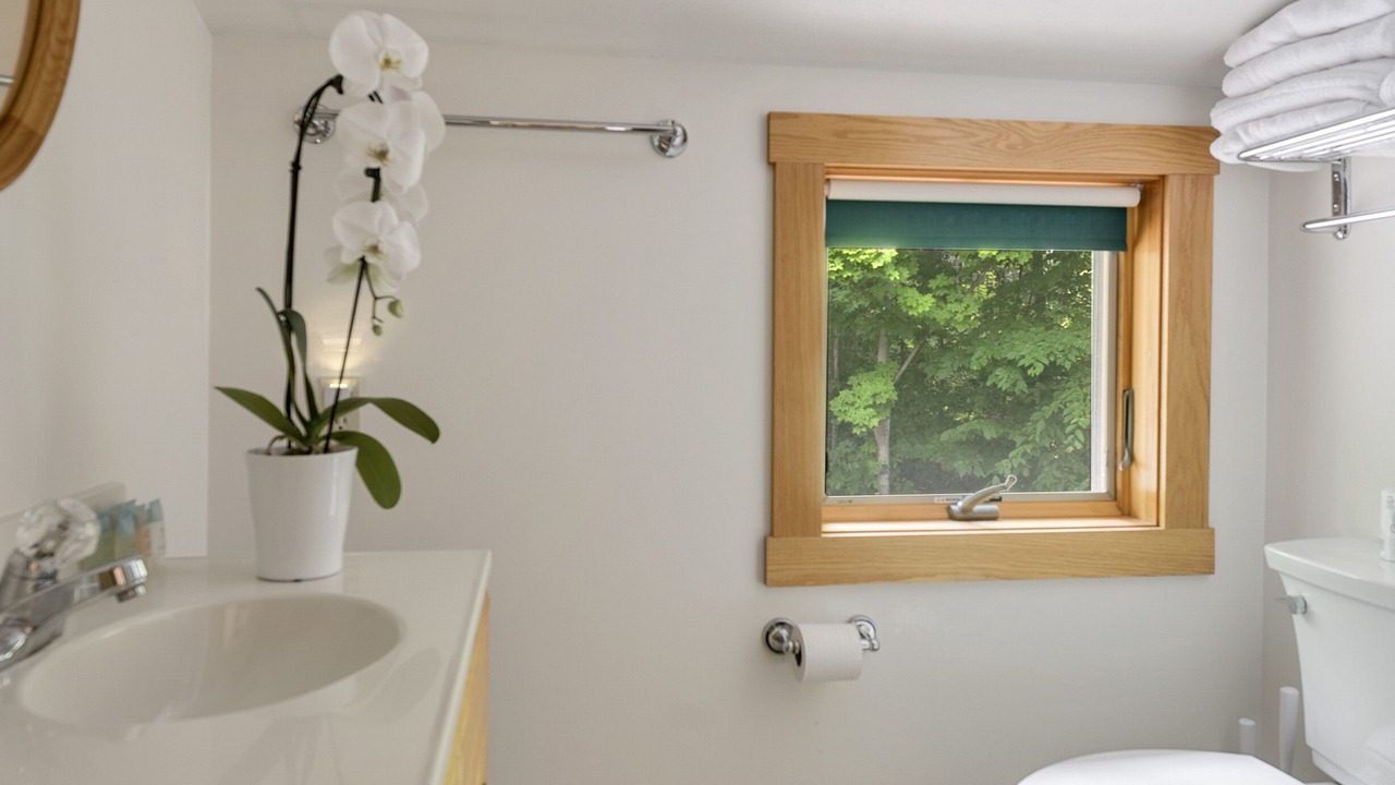 Photo of Bathroom in Skaneateles