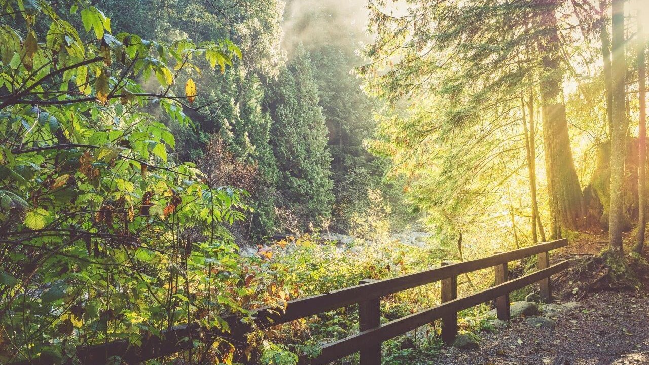 Photo of Outdoor in Grouse Woods